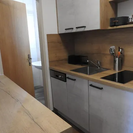 Kogler Apartment Ramsau am Dachstein